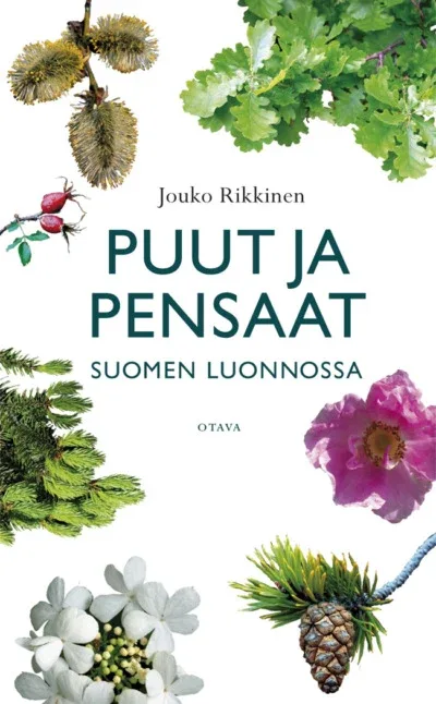 Puut ja pensaat suomen luonnossa – Rikkinen 2010