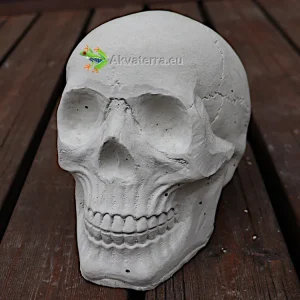 Puutarhapatsas Pääkallo 17cm