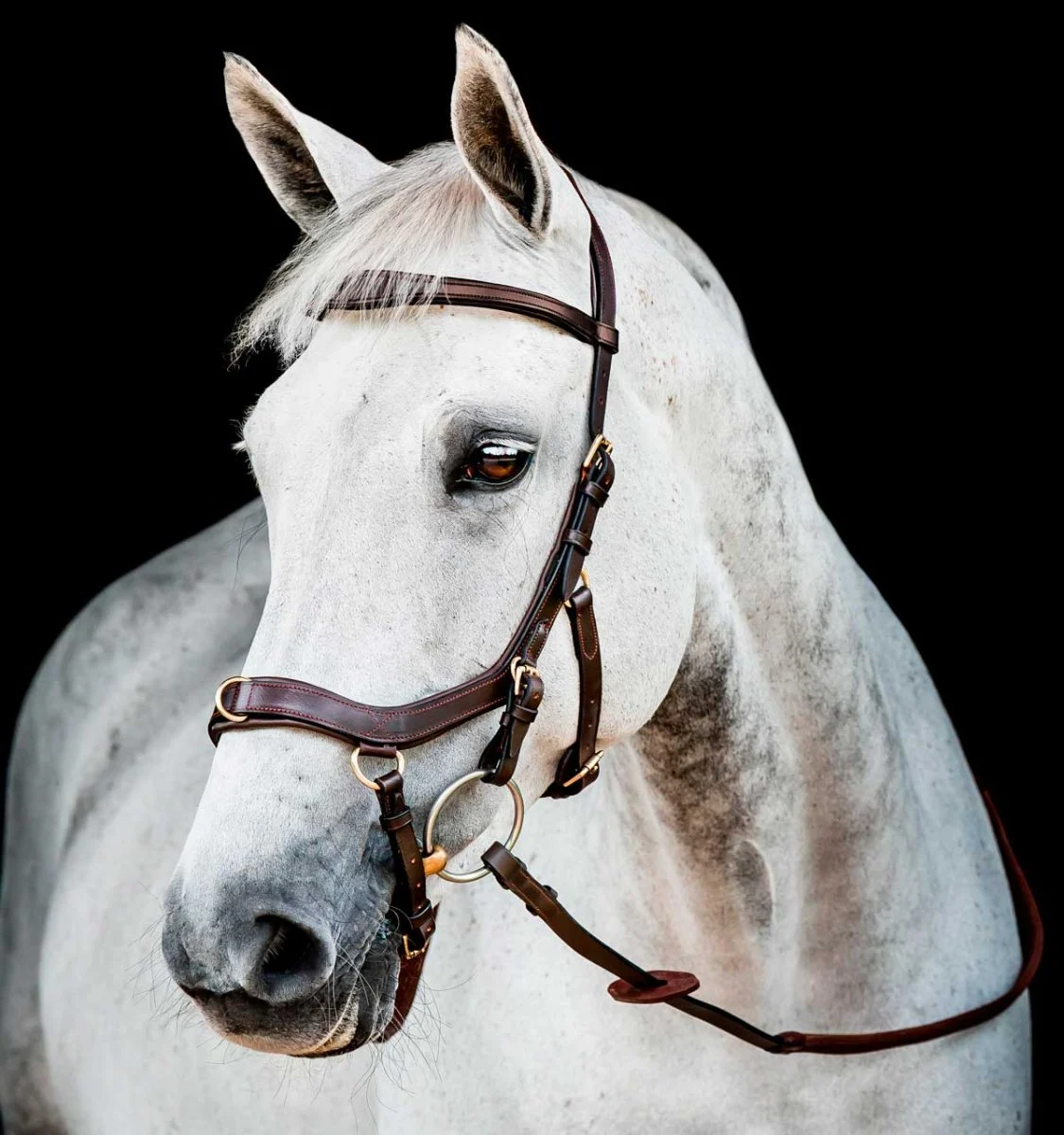 Rambo Micklem 2 Multibridle - Image 2