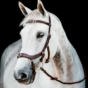 Rambo Micklem 2 Multibridle