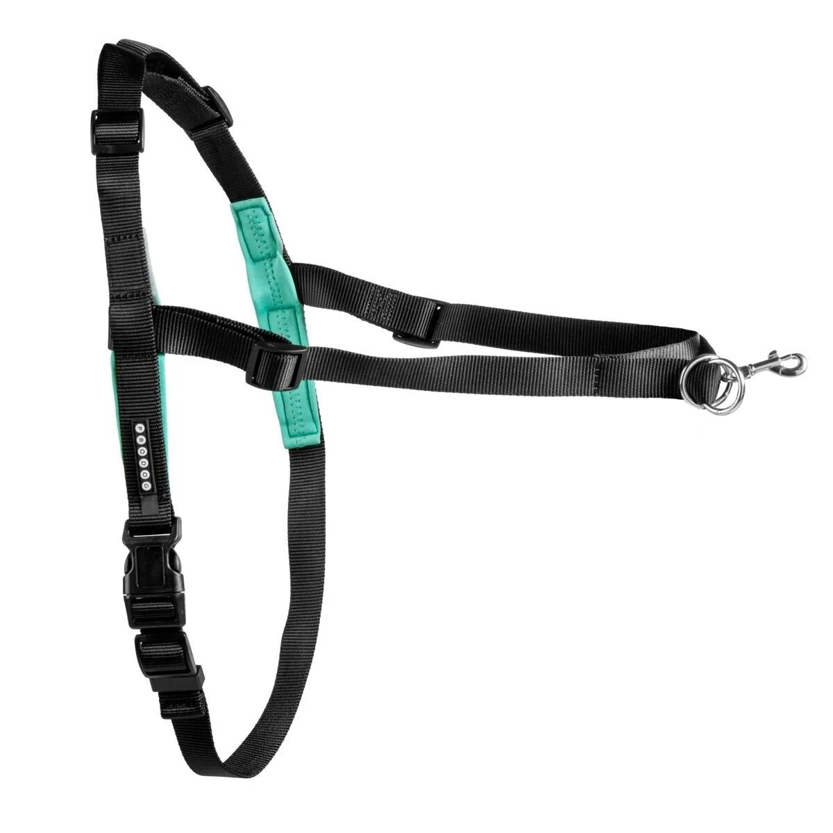 Reaktiovaljaat Pro Dog Control