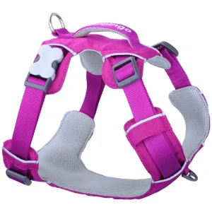Red Dingo Sport Harness – pehmustettu valjas aktiivisille koirille