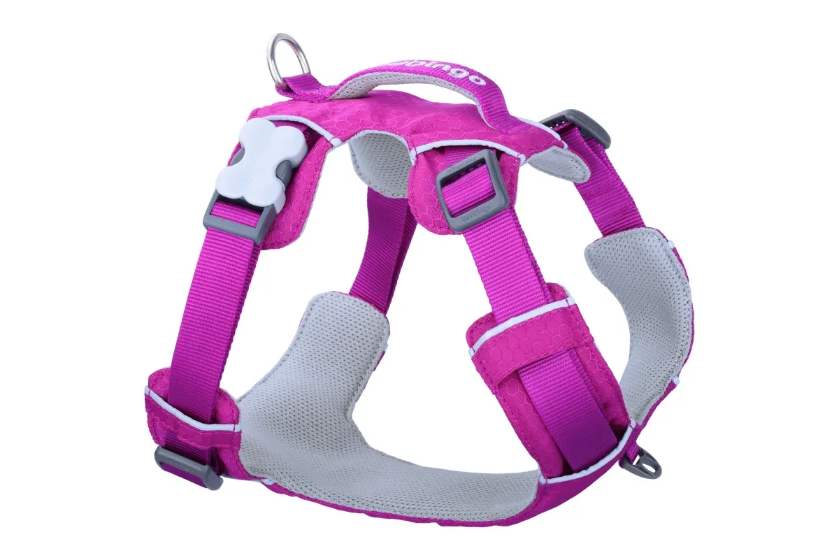 Red Dingo Sport Harness – pehmustettu valjas aktiivisille koirille