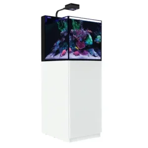 Red Sea MAX NANO G2 XL – complete reef system 125L