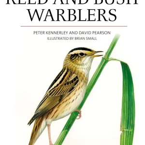 Reed and Bush Warblers – Kennerley,P. 2010