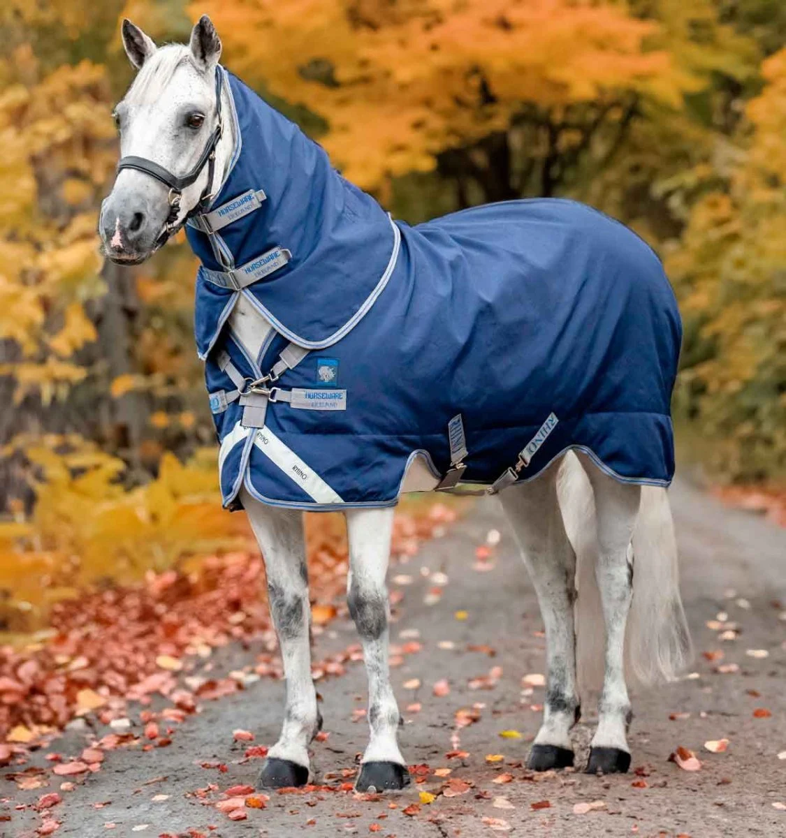Rhino Plus Turnout 100g Pony