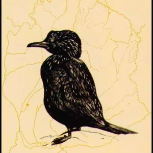 Romania, a Bird Watching and Wildlife Guide – Roberts, J. 2000