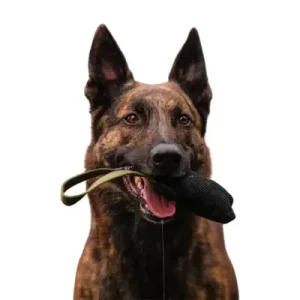 Rouhee K9 – Minipatukka