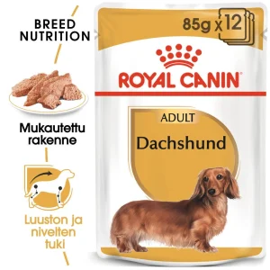 Royal Canin Dachshund Wet 12 x 85 g