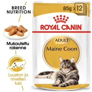 Royal Canin Maine Coon Wet 12 x 85 g