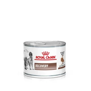 Royal Canin Veterinary Diets Gastrointestinal Recovery Ultra Soft Mousse Can 12x195g
