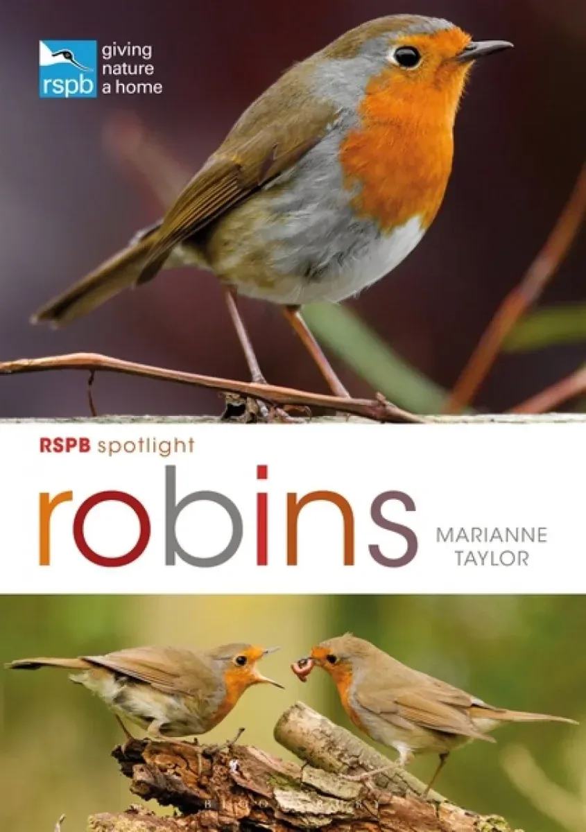 RSPB Spotlight: Robins – Taylor,M. 2019