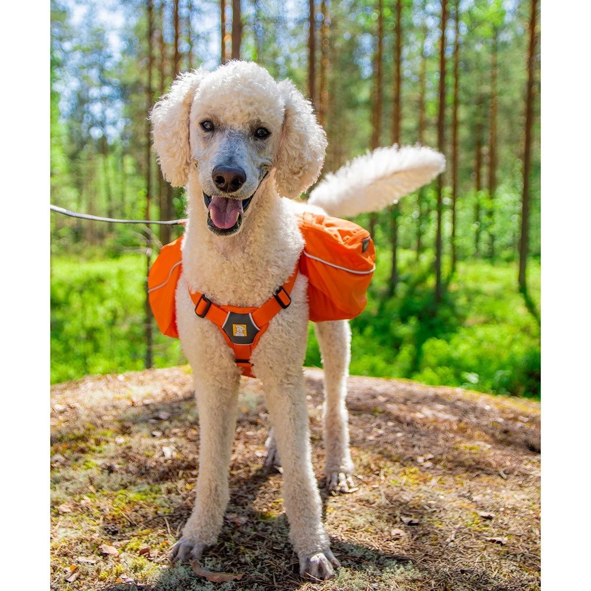 Ruffwear Approach Pack reppu koiralle, oranssi