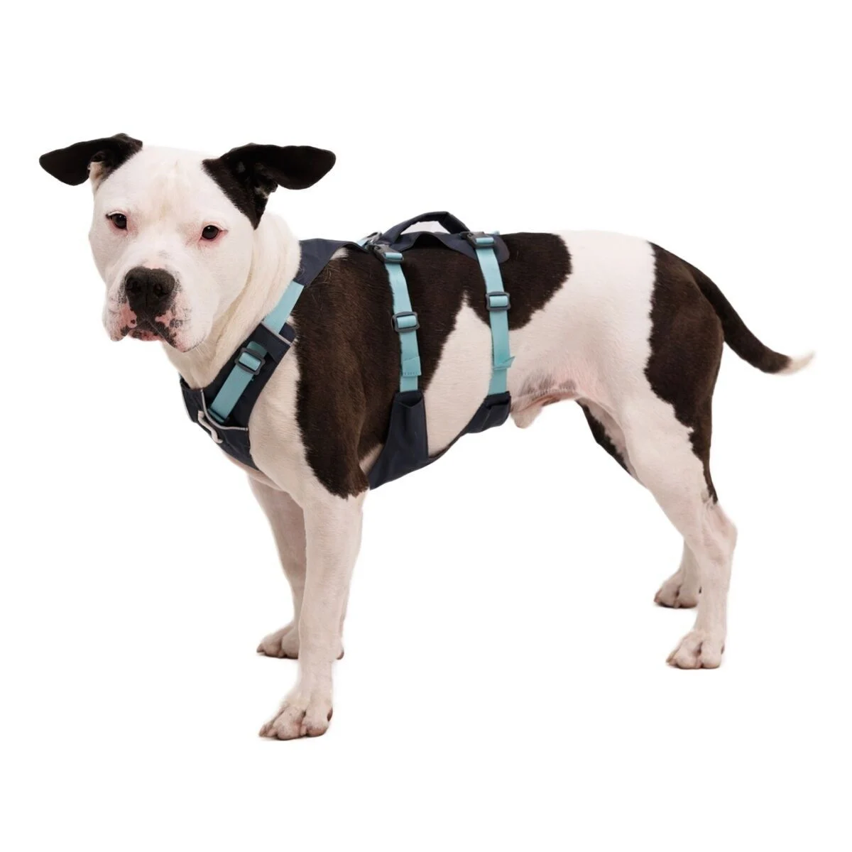 Ruffwear Flagline valjaat, harmaa