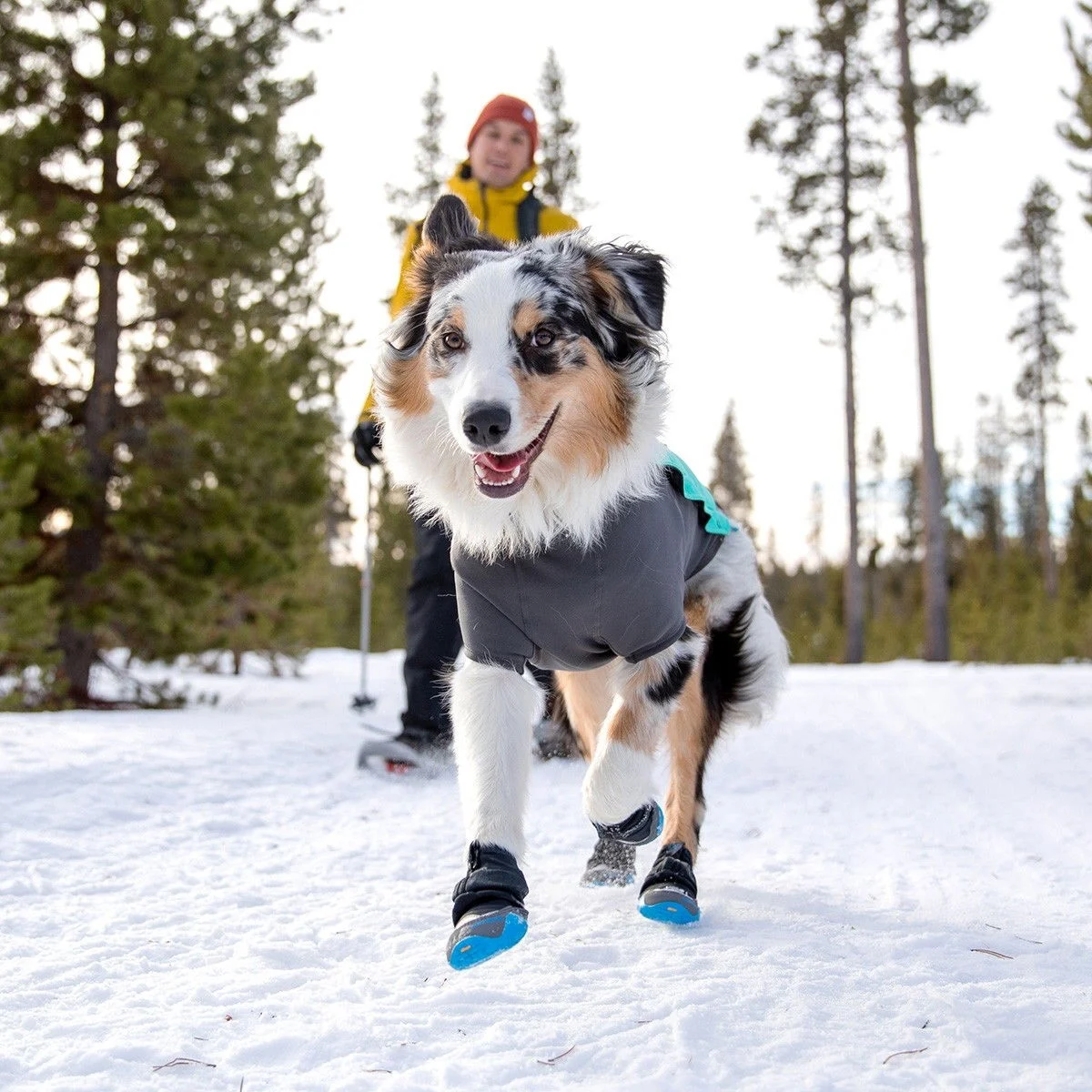 Ruffwear Polar Trex – tossut 2kpl, musta