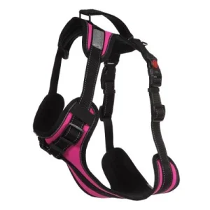 Rukka Solid -valjaat, fuksia koko XS: rinnanympärys 42 - 50 cm