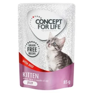 Säästöpakkaus Concept for Life viljaton 48 x 85 g Kitten nautaa hyytelössä