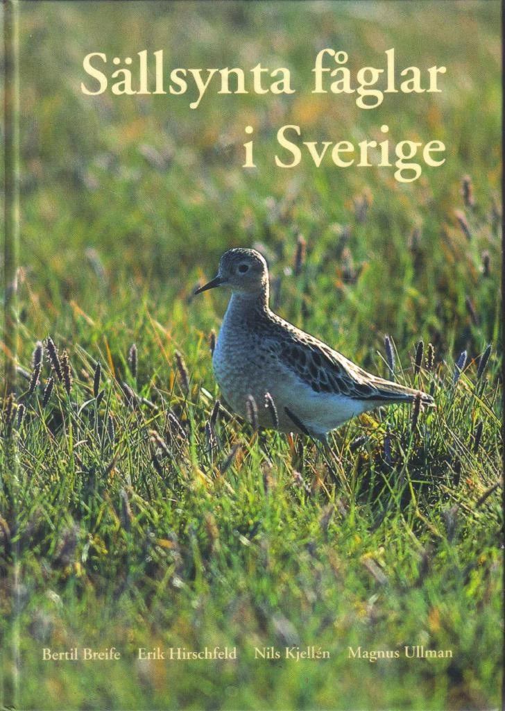 Sällsynta fåglar i Sverige – Breife Bertil ym 2003 - Image 2