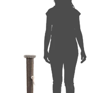 Sally raapimapylv盲s Harmaa