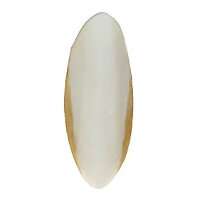 Seepiansuomu 50g