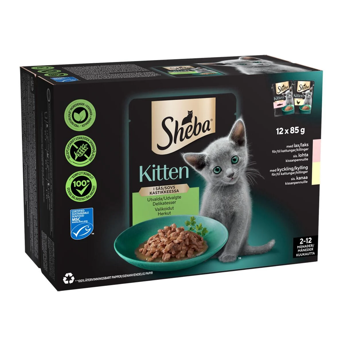 Sheba Kitten Mix kastikkeessa 12 x 85 g