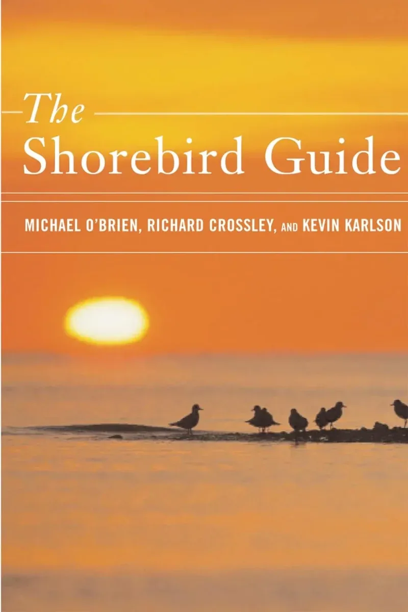Shorebird Guide – GB versio – O’Brien,M. 2007