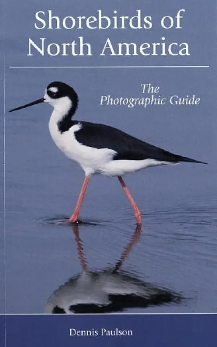 Shorebirds of North America. The Photographic Guide – Paulson, D. 2005