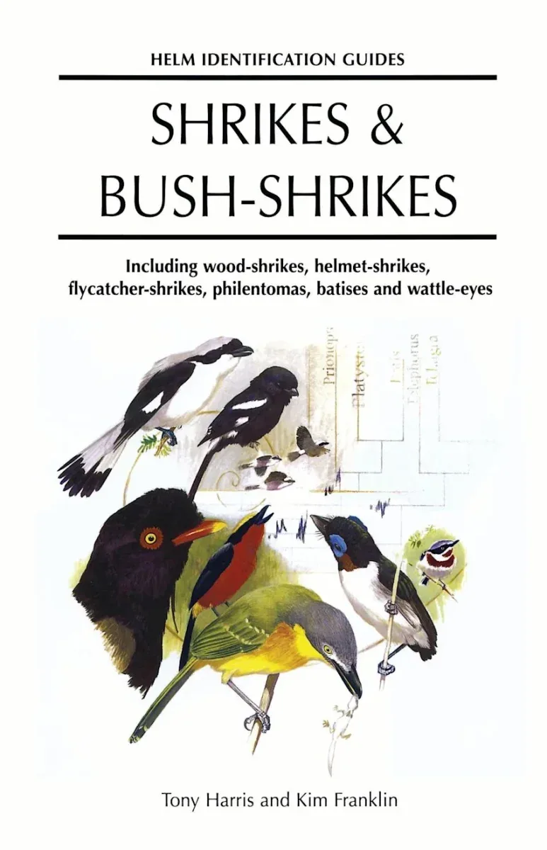 Shrikes and bush shrikes – Harris, T. 2000