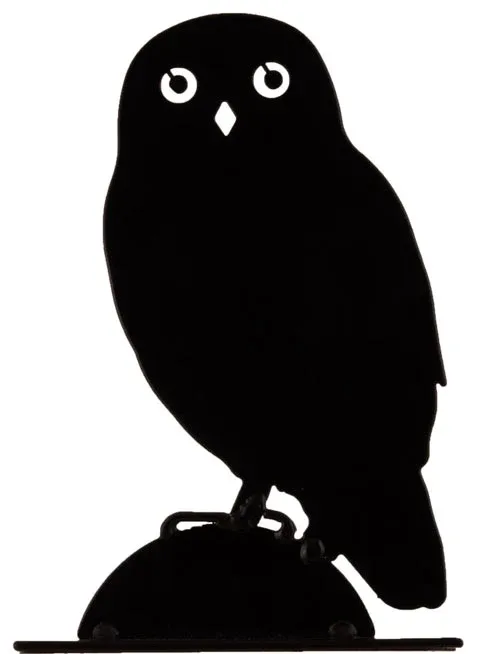 Siluetti, Little Owl, minervanpöllö