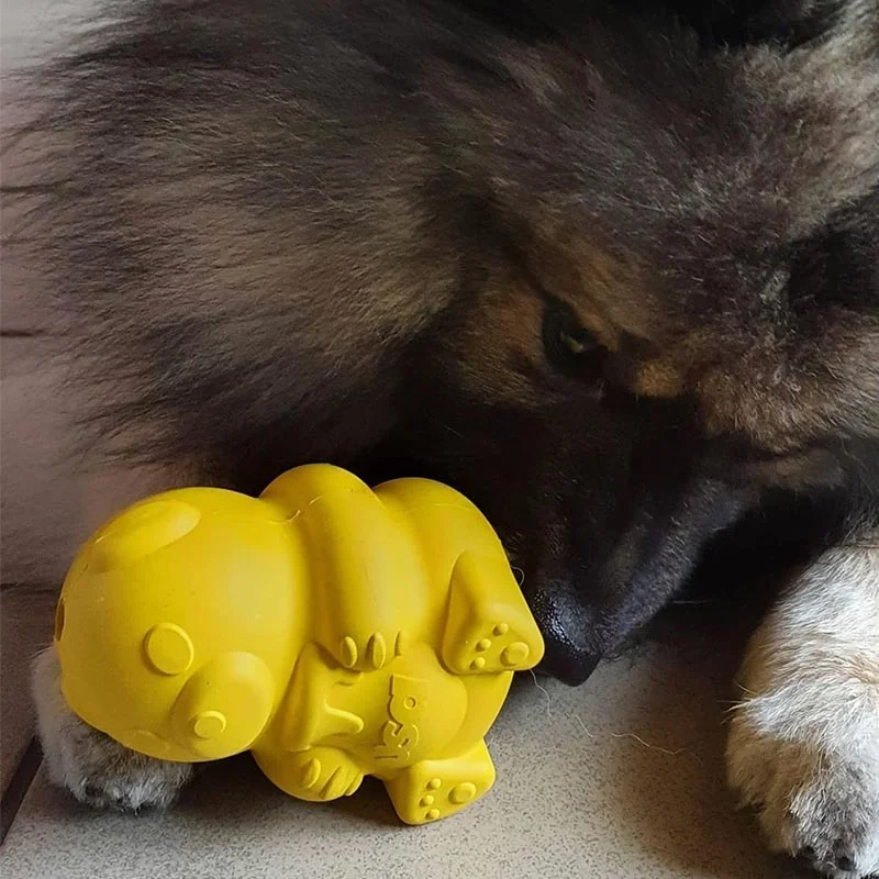 Sodapup Honey Bear – Keltainen