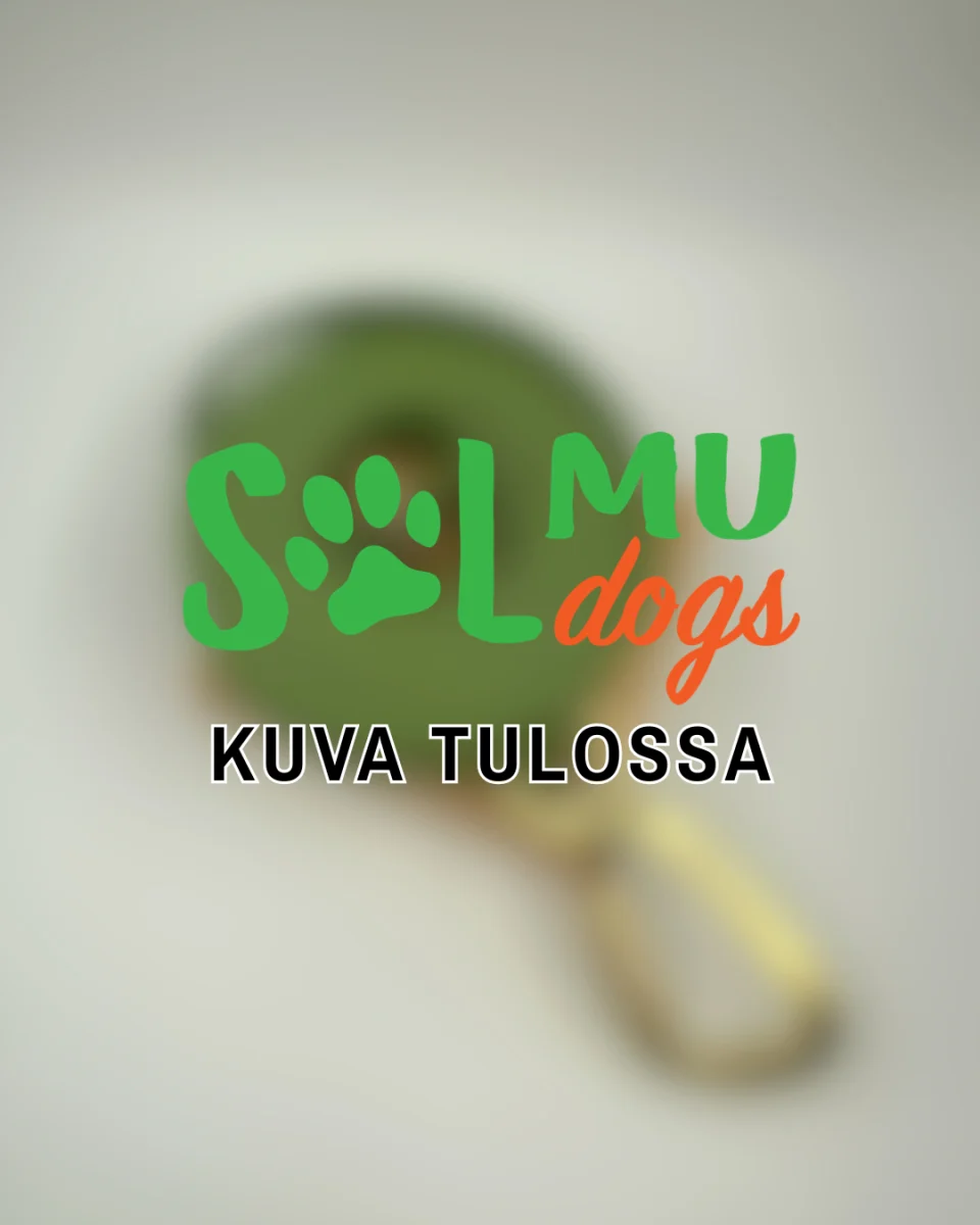 Solmu Dogs 20 mm Grippi-hihna 2-3 m