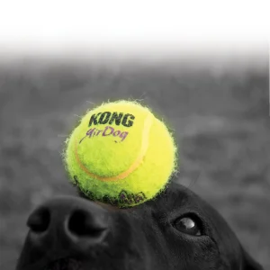 SqueakAir tennispallo Keltainen L