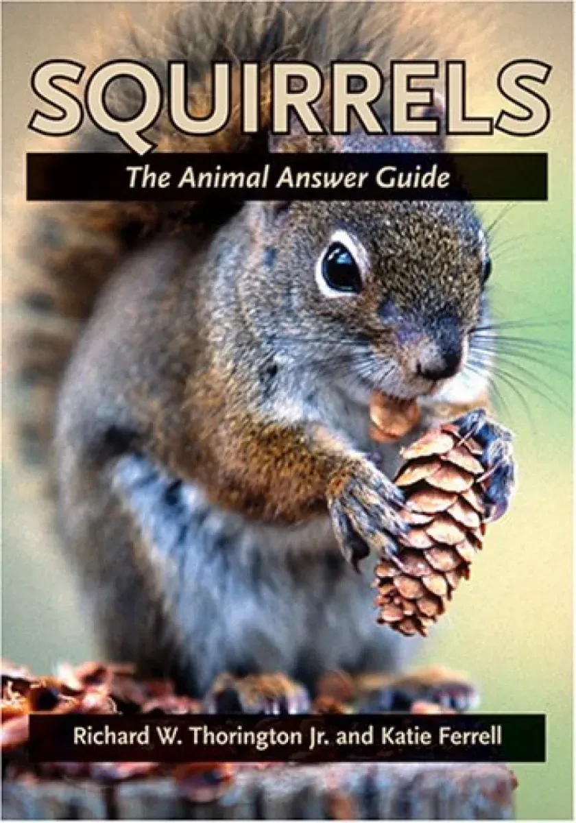 Squirrels. The Animal Answer Guide – Richard W Thorington and Katie Ferrell 2006