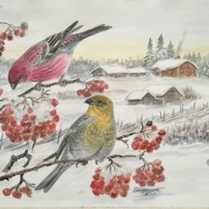 Taviokuurnat ja tonttu postikorttit