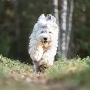 Täysillä tänne! – Luoksetulo- ja kontaktikurssi