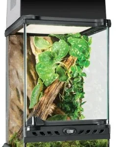 Terraario Exoterra 20*20*30cm NOUDETTAVA