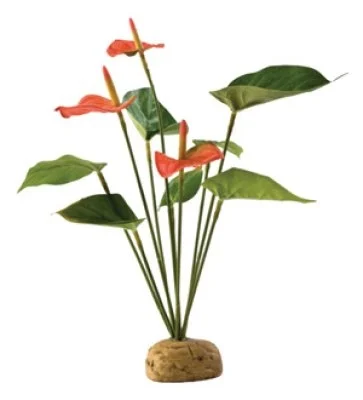 Terraariokasvi Exoterra Anthurium Bush - Image 2