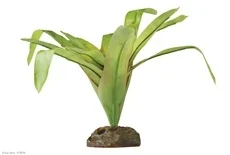 Terraariokasvi Exoterra Vriesea Gigantea M