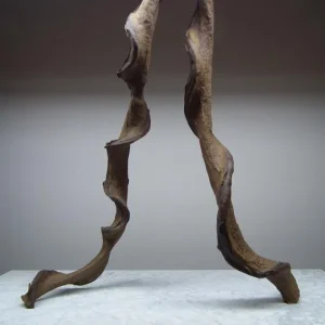 Terraariokasvi Monkey Ladder XL 5cm / 120cm