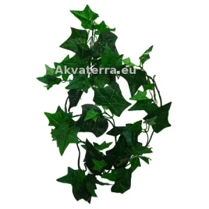 Terraariokasvi Muratti 185cm