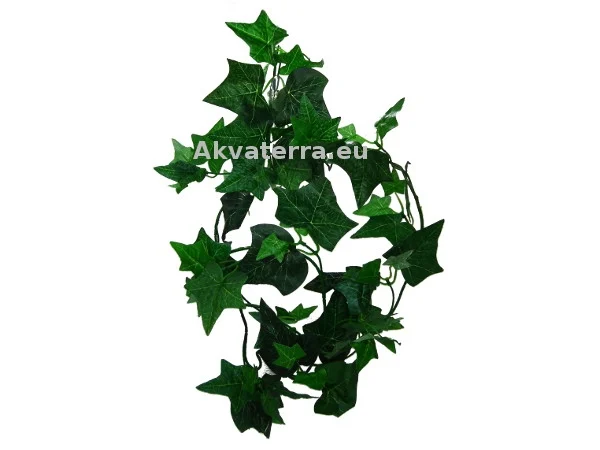 Terraariokasvi Muratti 185cm