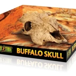 Terraariokoriste Exoterra Buffalo Skull
