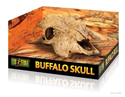 Terraariokoriste Exoterra Buffalo Skull