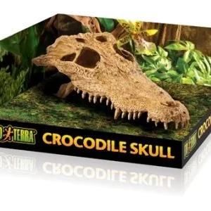 Terraariokoriste Exoterra Crocodile Skull