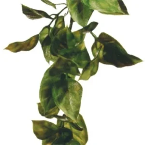 Terraarion muovikasvi Exoterra Amapallo L