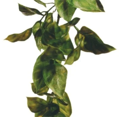 Terraarion muovikasvi Exoterra Amapallo L