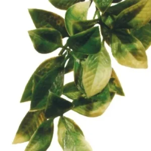 Terraarion muovikasvi Exoterra Mandarin S