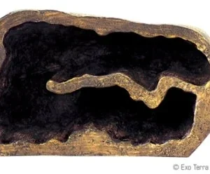 Terraarion piilopaikka Exoterra Reptile Den L