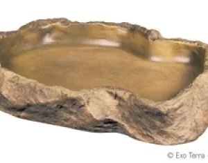 Terraarion ruokakuppi Exoterra Feeding Dish L