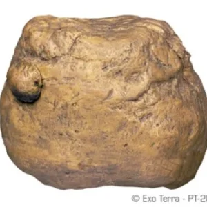 Terraarion ruokakuppi Exoterra Feeding Rock